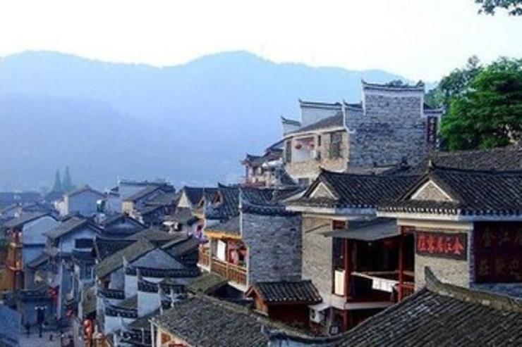 拯救蝙蝠家族